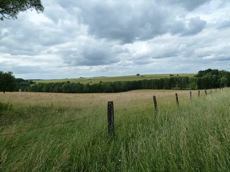 Prairies vall�e de la Meuse