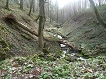 Forêt fontaine Martin