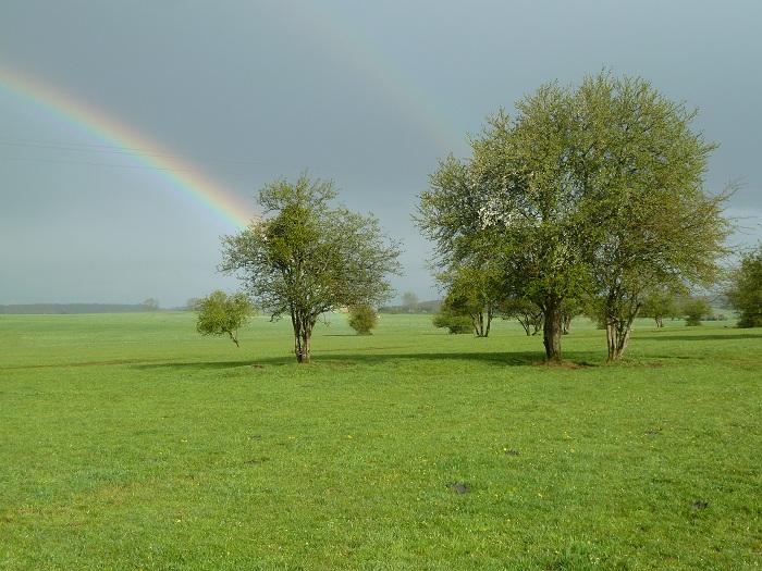 Arc en ciel sur le Bassigny