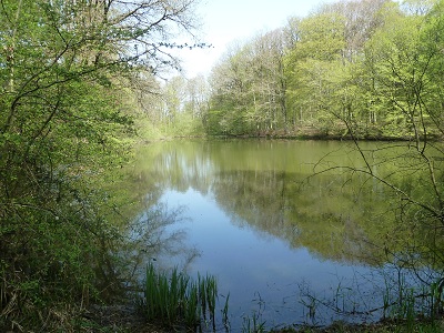 Etang chtain