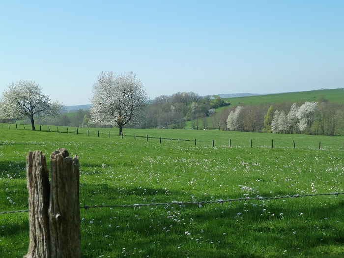Valle de la Meuse au printemps