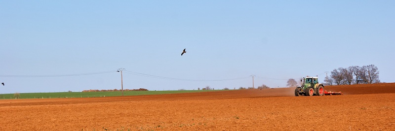 Tracteur au travail